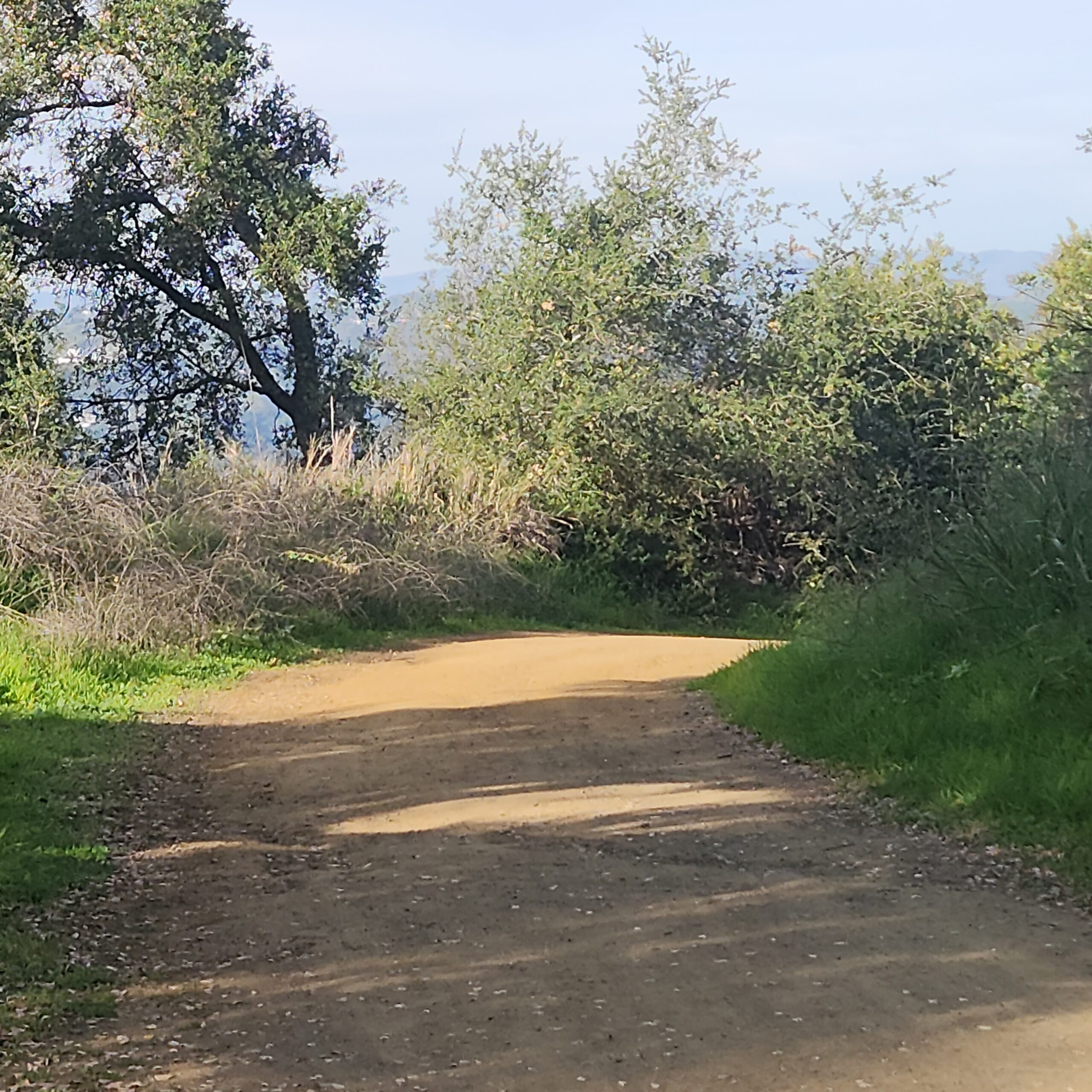 path square